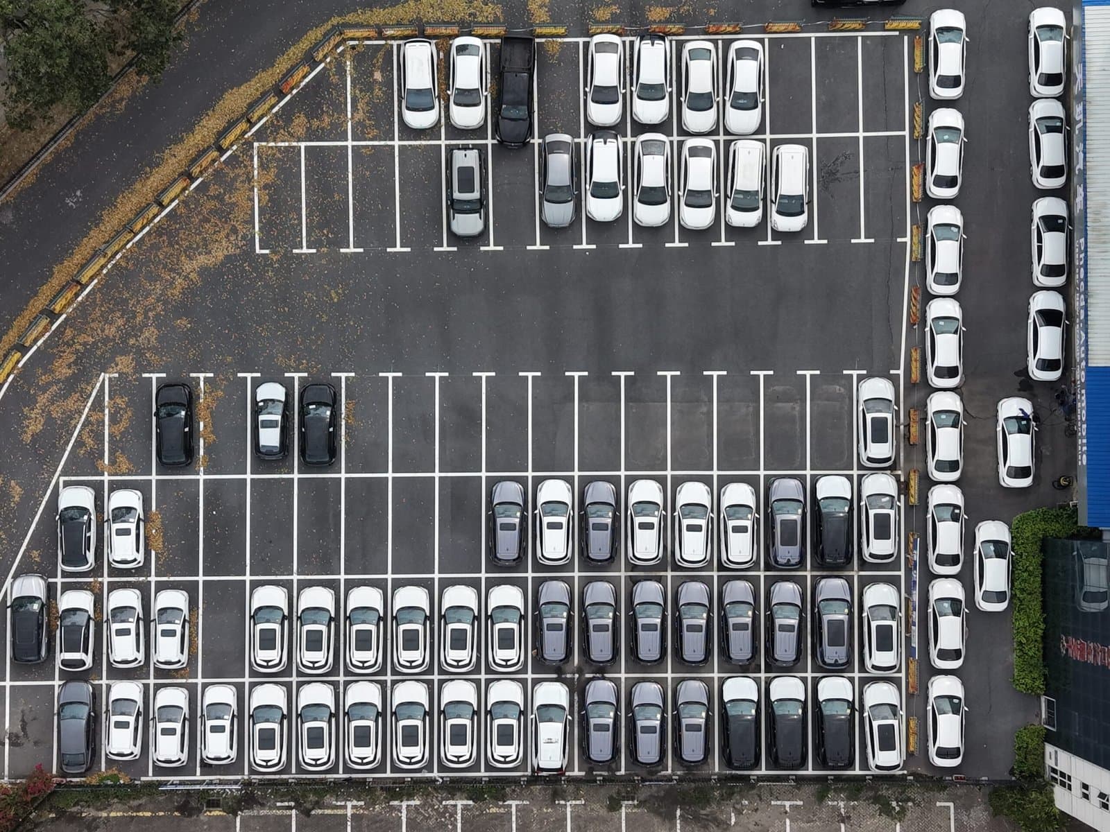 About Carvia — China Vehicle Export Platform