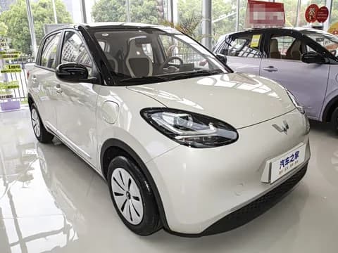 2026 Wuling Binguo New Car gallery