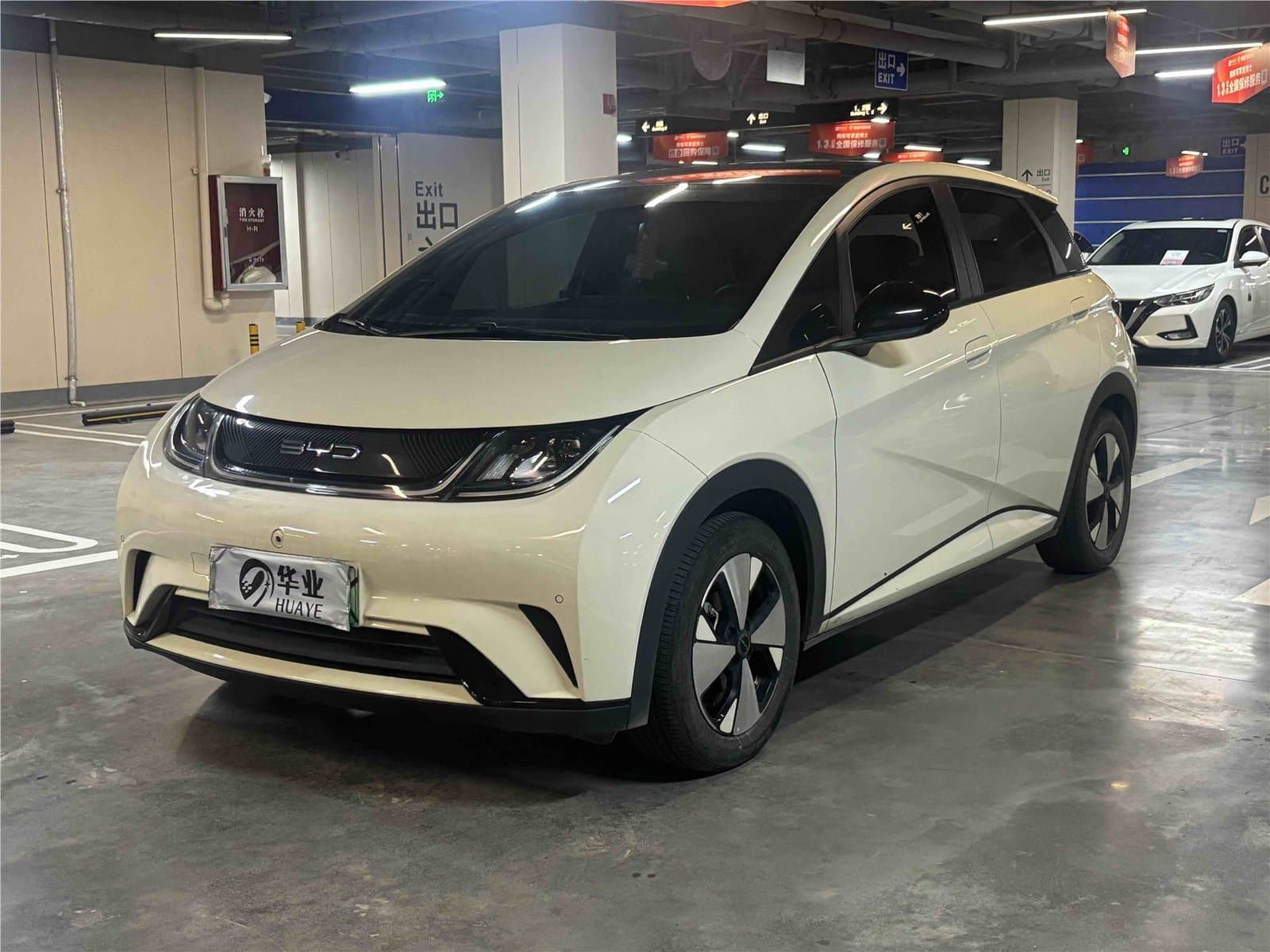 2023 BYD Dolphin 420km Used Car
