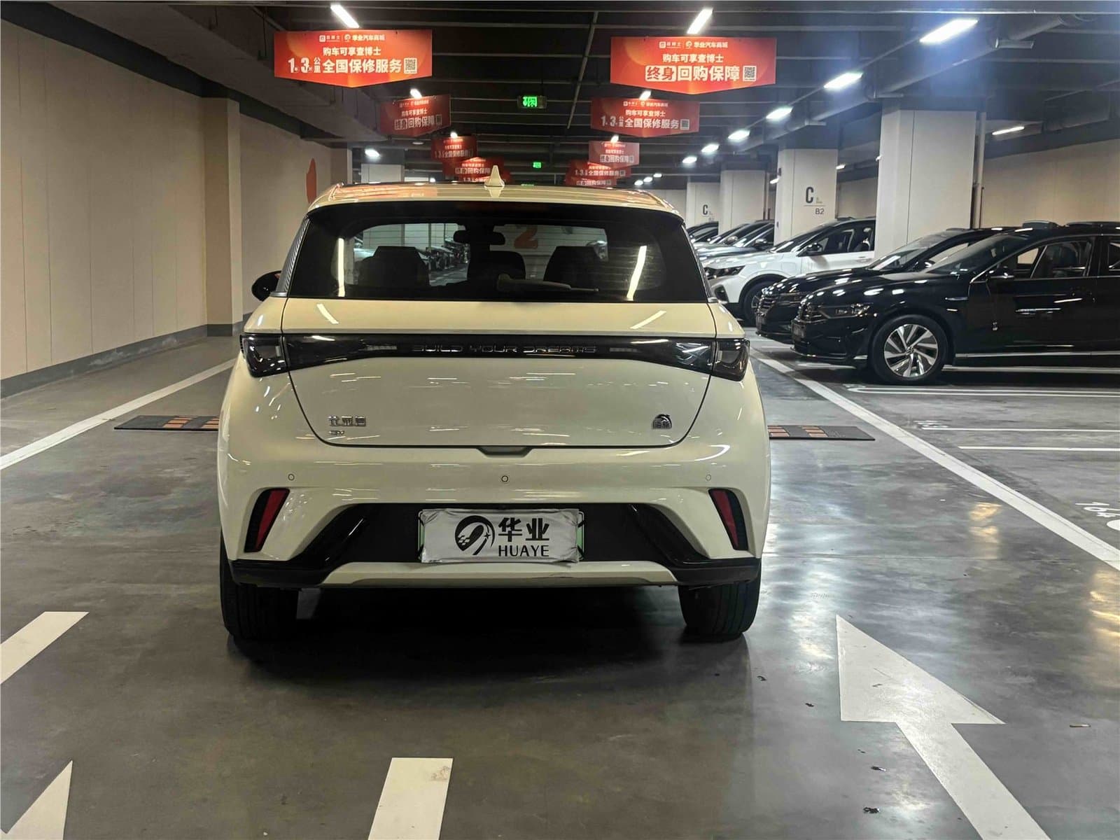 2023 BYD Dolphin 420km Used Car gallery