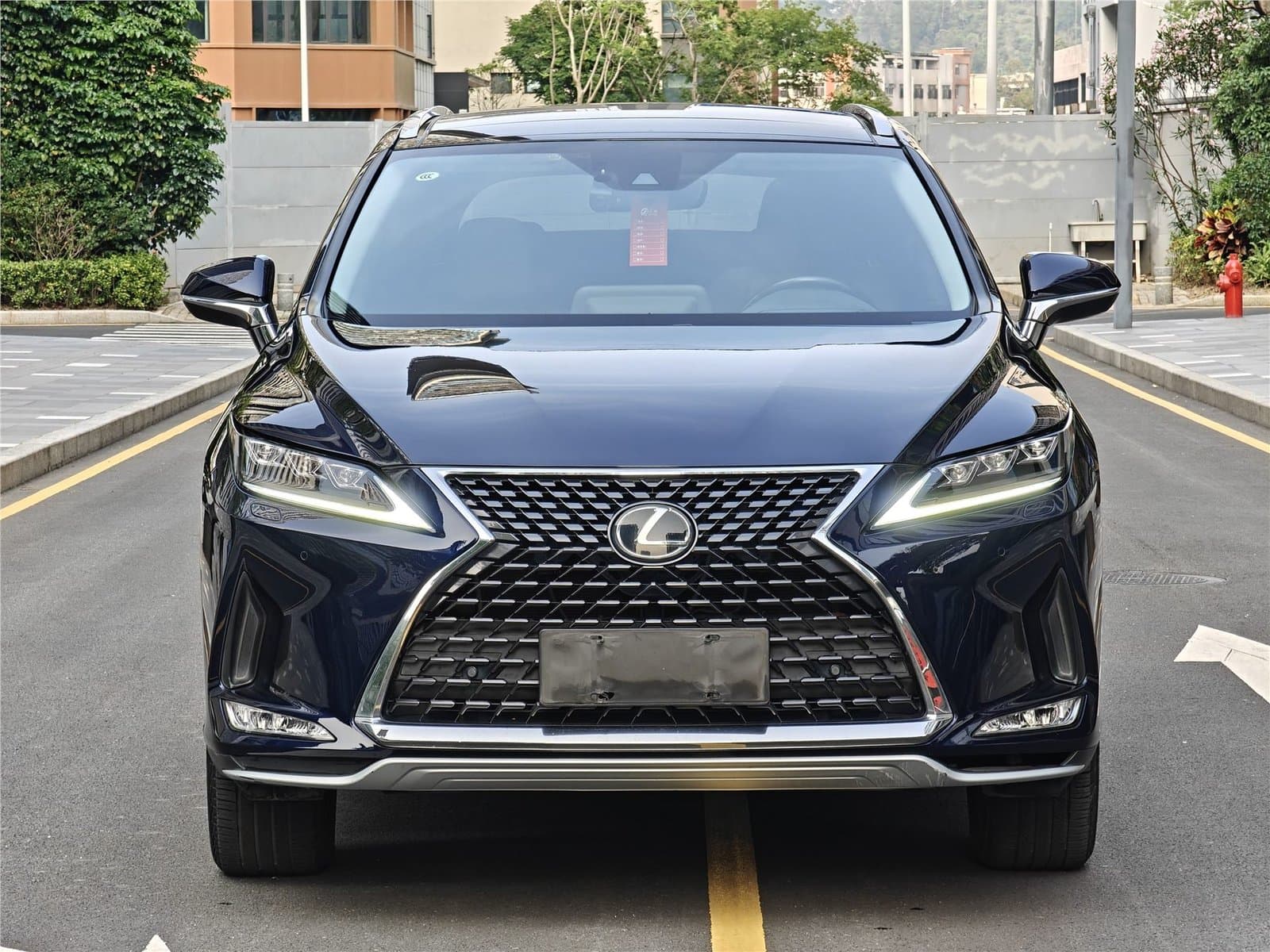 2020 Lexus RX Facelift 300 4WD Used Car gallery