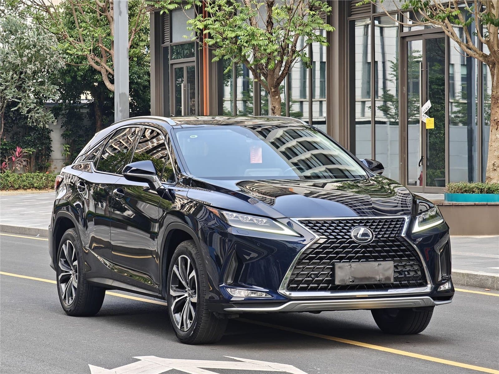 2020 Lexus RX Facelift 300 4WD Used Car gallery