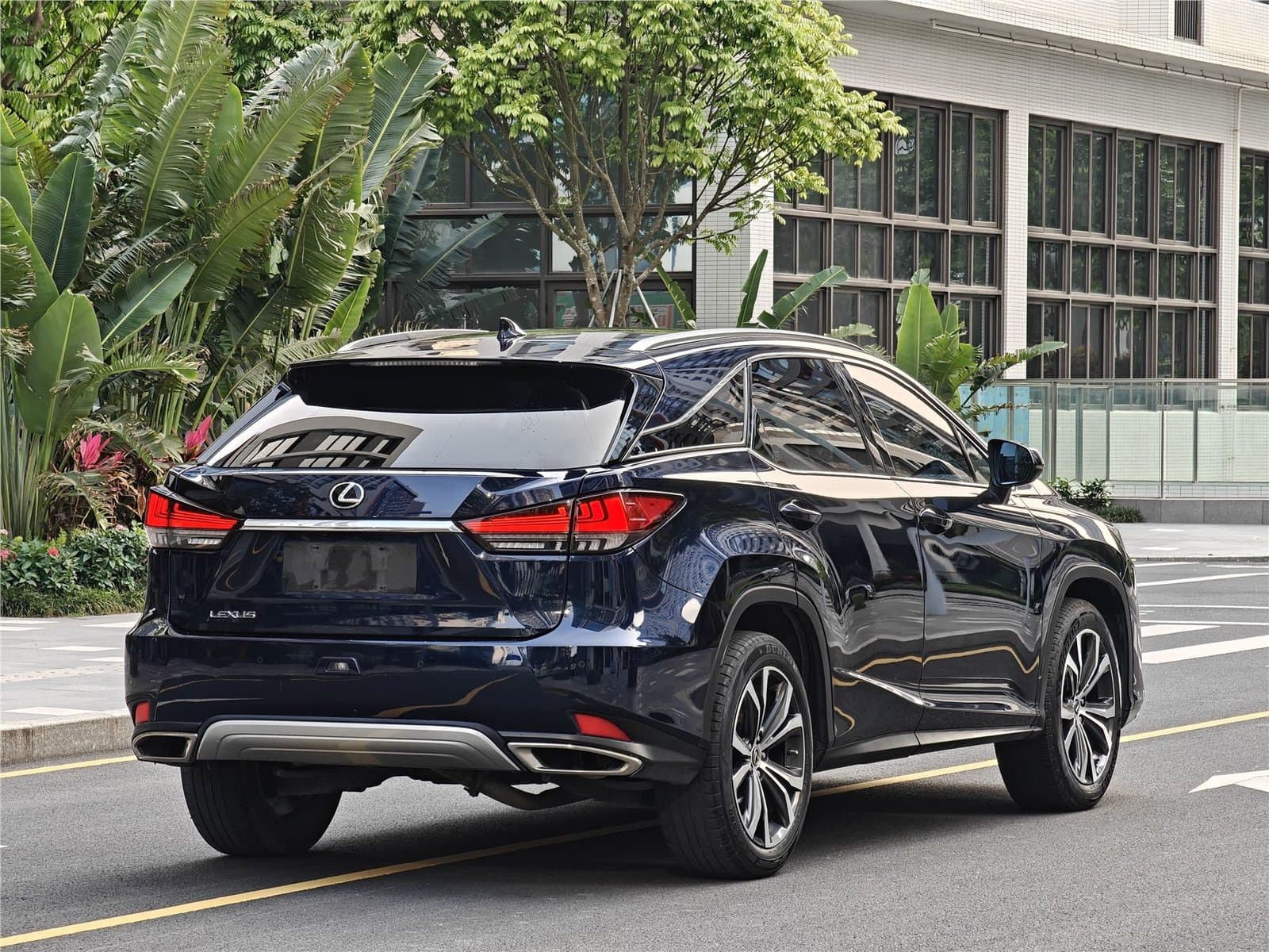 2020 Lexus RX Facelift 300 4WD Used Car gallery