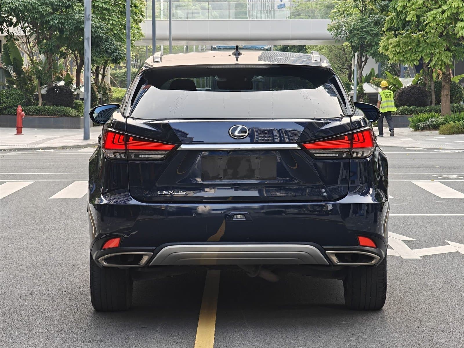 2020 Lexus RX Facelift 300 4WD Used Car gallery