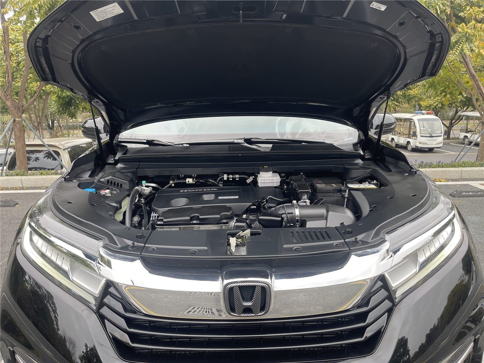 2020 Honda Avancier 370TURBO 4WD Used Car gallery